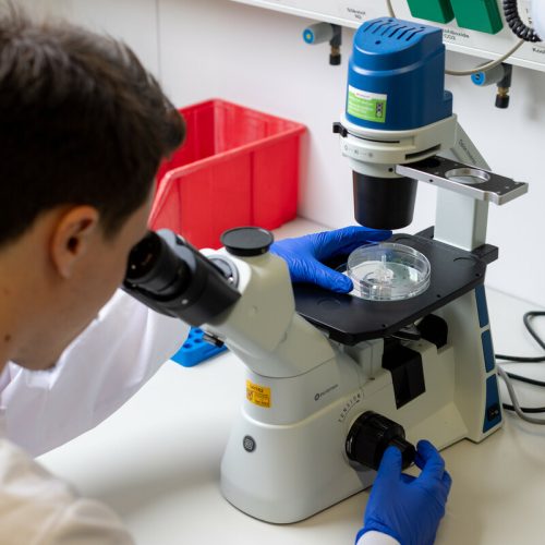 Onderzoeker Henrique Nogueira Pinto in het lab